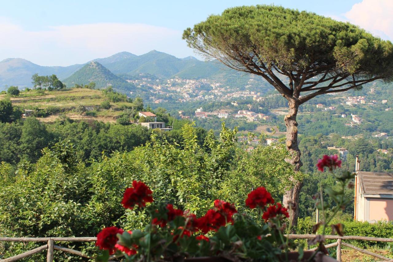 Casa Fasano Amalfi Coast Vendégház Vietri Kültér fotó