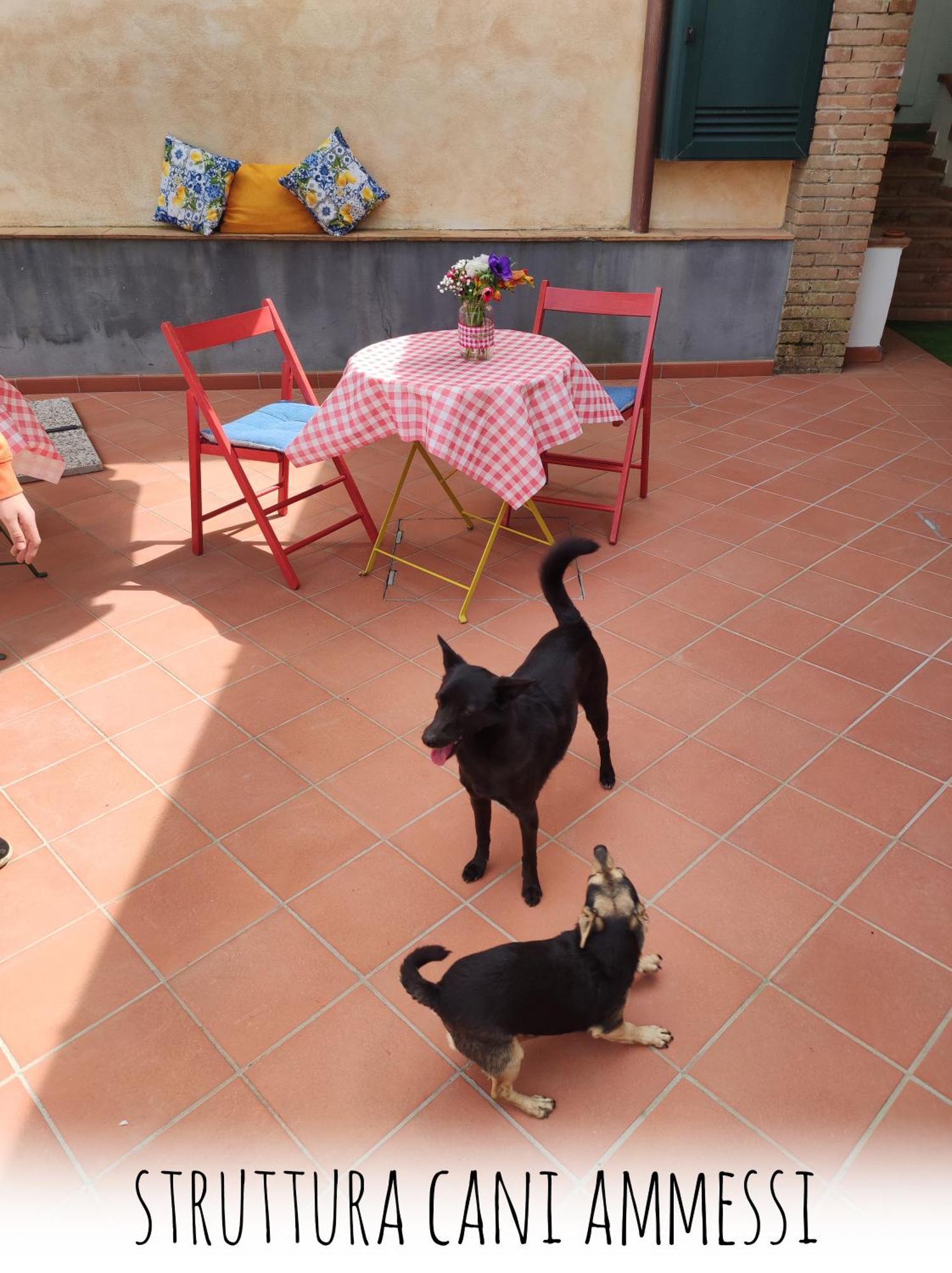Casa Fasano Amalfi Coast Vendégház Vietri Kültér fotó