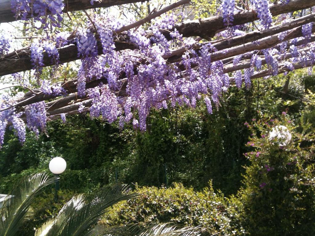 Casa Fasano Amalfi Coast Vendégház Vietri Kültér fotó